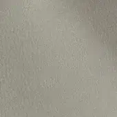 2434828 - SALVIA